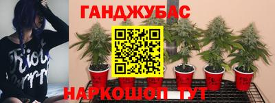 ешки Краснокаменск